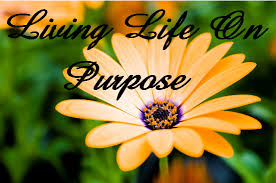 Living Life on Purpose